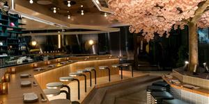 Le Blossom : une esthétique entre tradition et futurisme