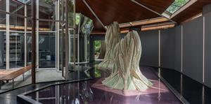 Picoplanktonics au pavillon du Canada de La Biennale di Venezia