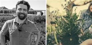 Agriculture urbaine : 5 conseils à appliquer chez soi