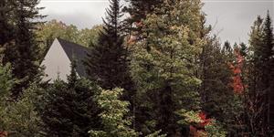 Le Nid d’Aigle : un chalet forestier imaginé pour un camp musical